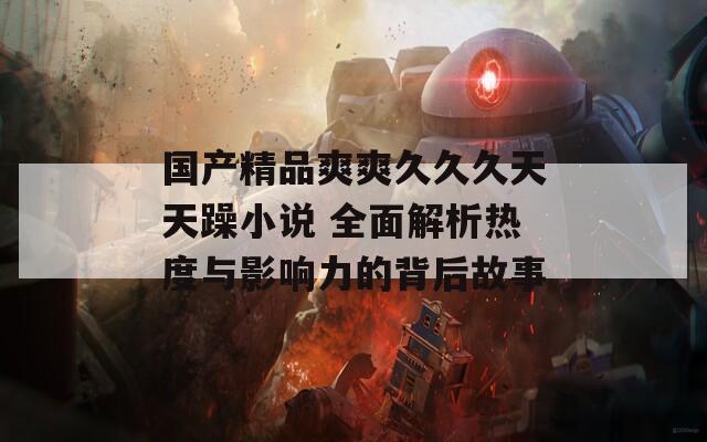国产精品爽爽久久久天天躁小说 全面解析热度与影响力的背后故事