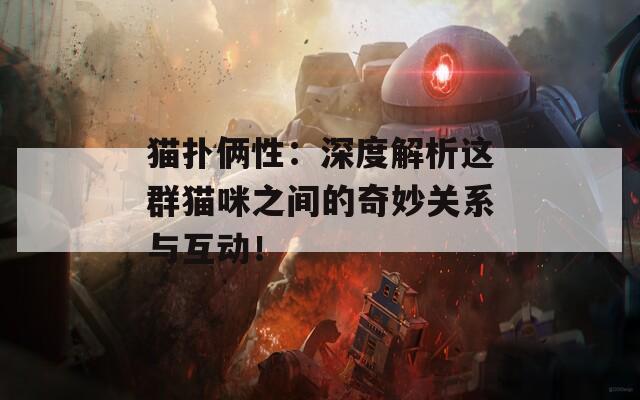 猫扑俩性：深度解析这群猫咪之间的奇妙关系与互动！