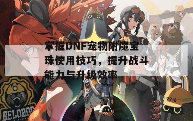 掌握DNF宠物附魔宝珠使用技巧，提升战斗能力与升级效率