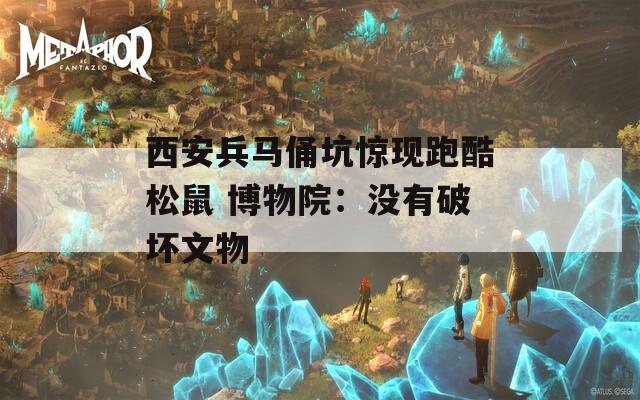 西安兵马俑坑惊现跑酷松鼠 博物院：没有破坏文物