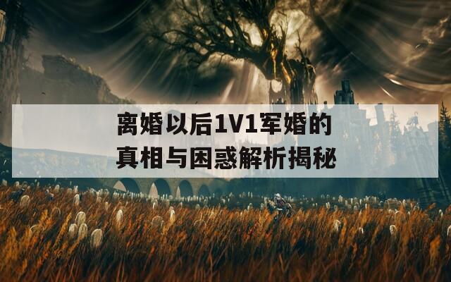 离婚以后1V1军婚的真相与困惑解析揭秘