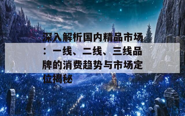 深入解析国内精品市场：一线、二线、三线品牌的消费趋势与市场定位揭秘