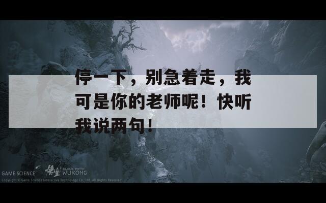 停一下，别急着走，我可是你的老师呢！快听我说两句！