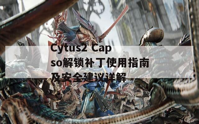 Cytus2 Capso解锁补丁使用指南及安全建议详解