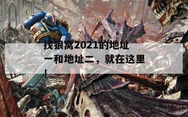 找狼窝2021的地址一和地址二，就在这里！