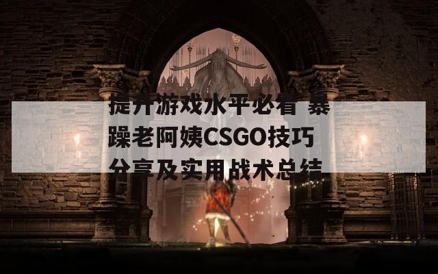 提升游戏水平必看 暴躁老阿姨CSGO技巧分享及实用战术总结