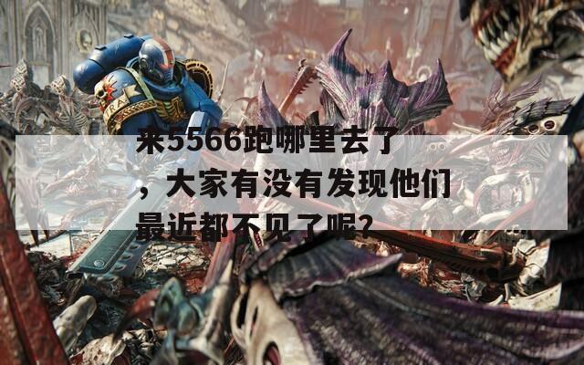 来5566跑哪里去了，大家有没有发现他们最近都不见了呢？