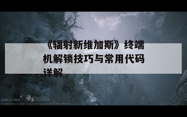 《辐射新维加斯》终端机解锁技巧与常用代码详解