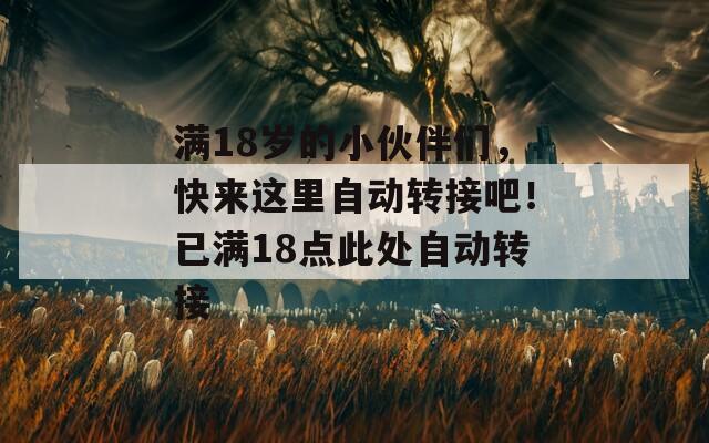 满18岁的小伙伴们，快来这里自动转接吧！已满18点此处自动转接