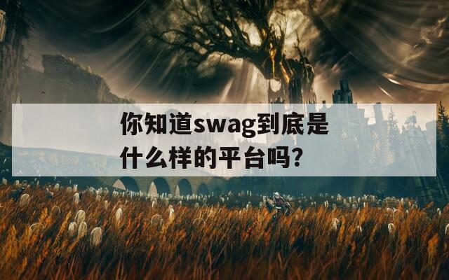 你知道swag到底是什么样的平台吗？