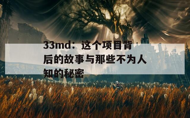 33md：这个项目背后的故事与那些不为人知的秘密