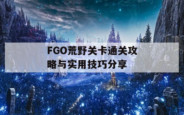 FGO荒野关卡通关攻略与实用技巧分享