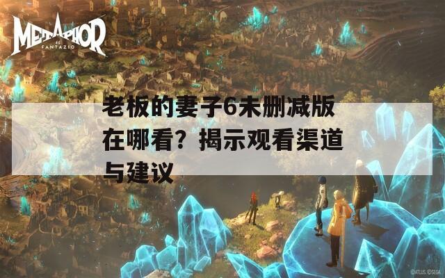 老板的妻子6未删减版在哪看？揭示观看渠道与建议