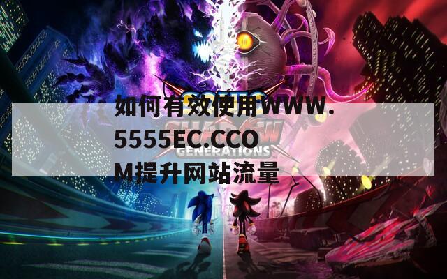 如何有效使用WWW.5555EC.CCOM提升网站流量