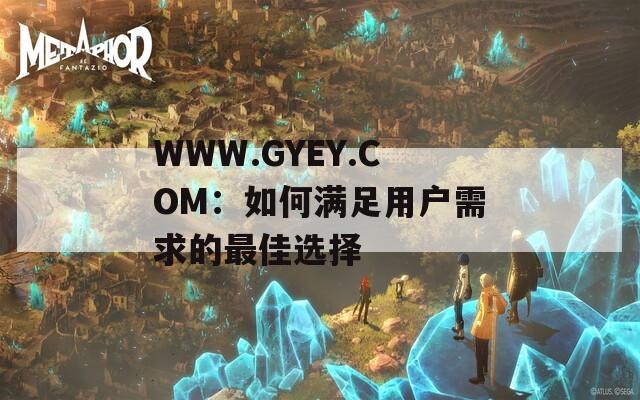 WWW.GYEY.COM：如何满足用户需求的最佳选择