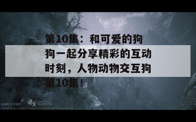 第10集：和可爱的狗狗一起分享精彩的互动时刻，人物动物交互狗第10集！