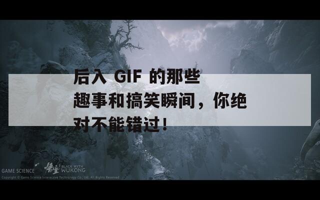 后入 GIF 的那些趣事和搞笑瞬间，你绝对不能错过！