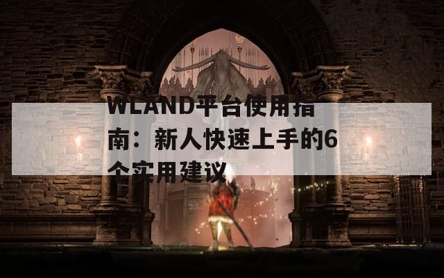 WLAND平台使用指南：新人快速上手的6个实用建议