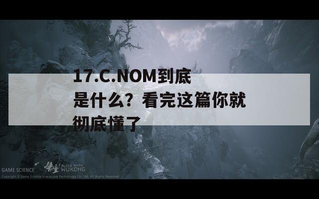 17.C.NOM到底是什么？看完这篇你就彻底懂了