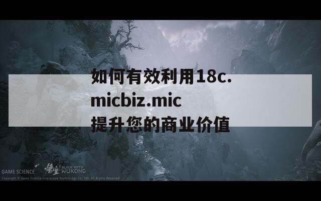 如何有效利用18c.micbiz.mic提升您的商业价值