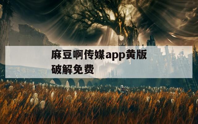 麻豆啊传媒app黄版破解免费