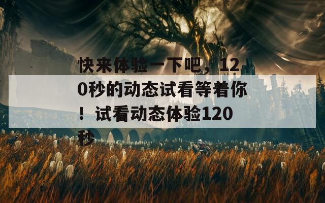 快来体验一下吧，120秒的动态试看等着你！试看动态体验120秒