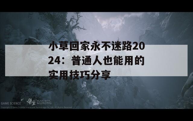 小草回家永不迷路2024：普通人也能用的实用技巧分享