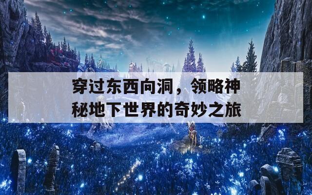 穿过东西向洞，领略神秘地下世界的奇妙之旅