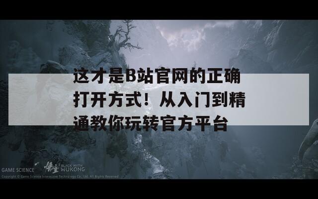 这才是B站官网的正确打开方式！从入门到精通教你玩转官方平台