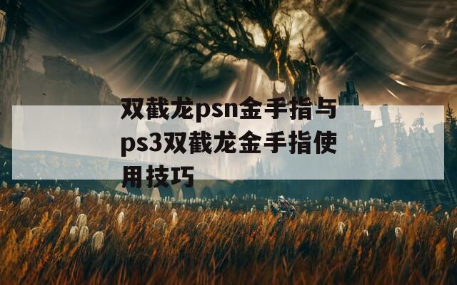 双截龙psn金手指与ps3双截龙金手指使用技巧