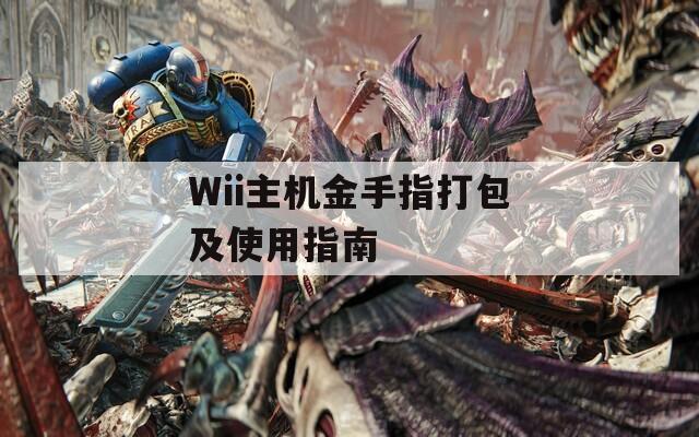 Wii主机金手指打包及使用指南