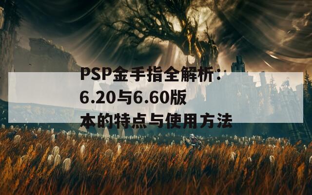 PSP金手指全解析：6.20与6.60版本的特点与使用方法