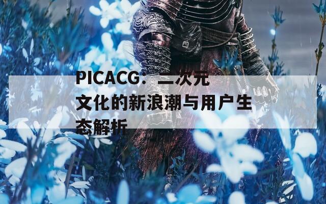 PICACG：二次元文化的新浪潮与用户生态解析