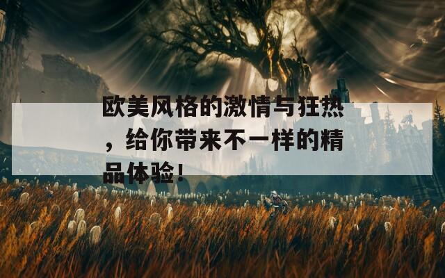 欧美风格的激情与狂热，给你带来不一样的精品体验！