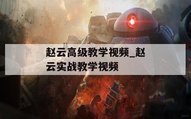 赵云高级教学视频_赵云实战教学视频