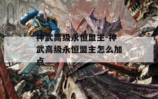 神武高级永恒盟主-神武高级永恒盟主怎么加点