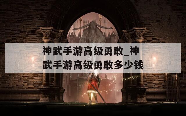 神武手游高级勇敢_神武手游高级勇敢多少钱