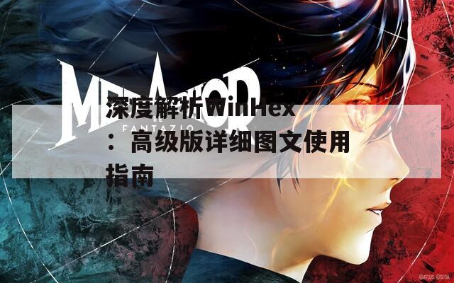 深度解析WinHex：高级版详细图文使用指南