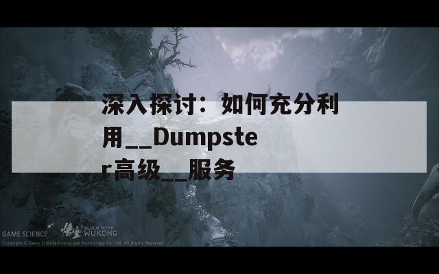 深入探讨：如何充分利用__Dumpster高级__服务