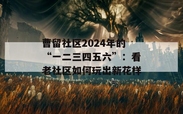 曹留社区2024年的“一二三四五六”：看老社区如何玩出新花样