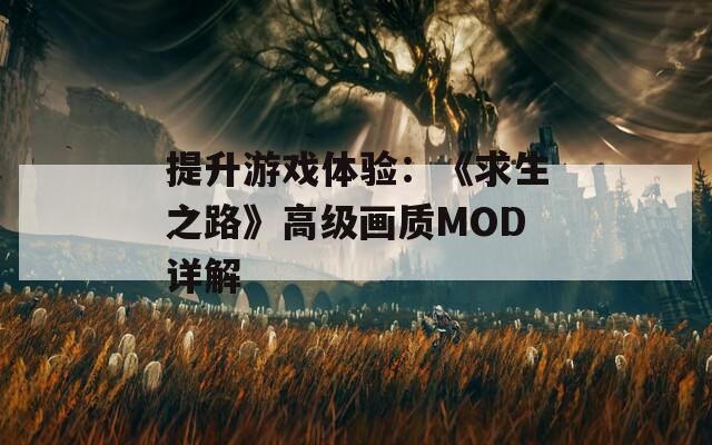 提升游戏体验：《求生之路》高级画质MOD详解