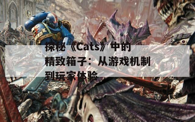 探秘《Cats》中的精致箱子：从游戏机制到玩家体验