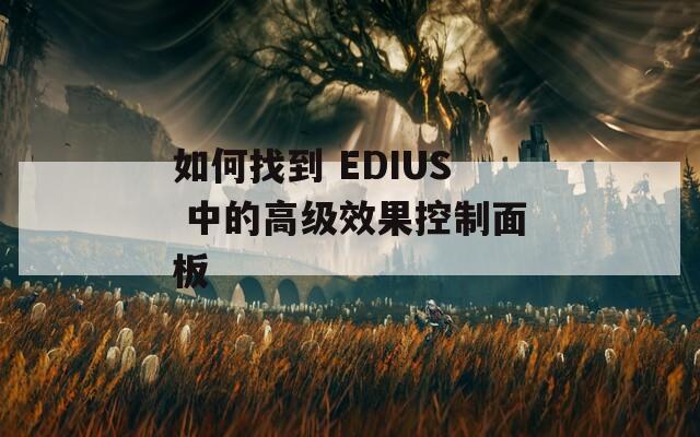 如何找到 EDIUS 中的高级效果控制面板