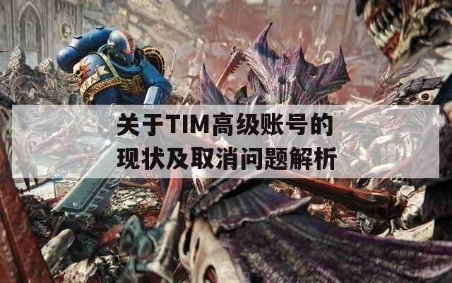 关于TIM高级账号的现状及取消问题解析