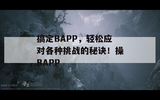 搞定BAPP，轻松应对各种挑战的秘诀！操BAPP