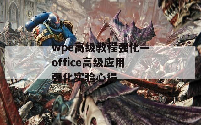 wpe高级教程强化—office高级应用强化实验心得