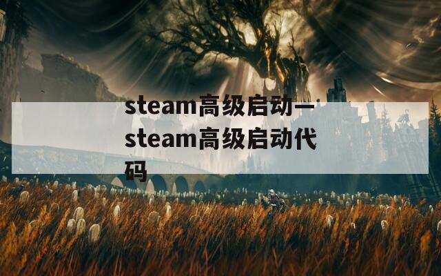 steam高级启动—steam高级启动代码